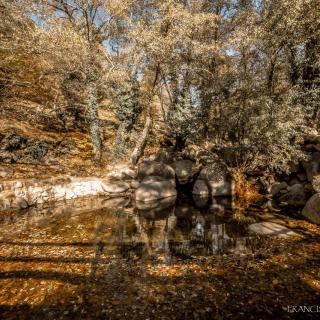 Otoño en Piedralaves