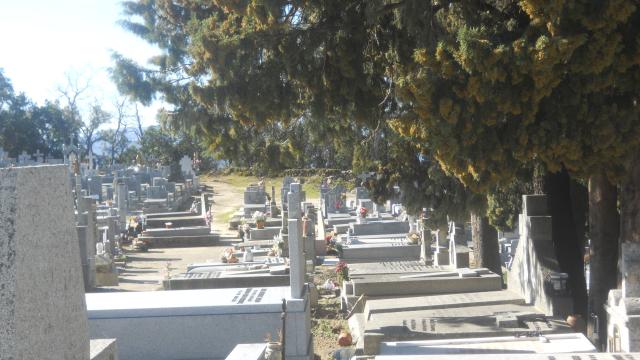 Cementerio de Piedralaves