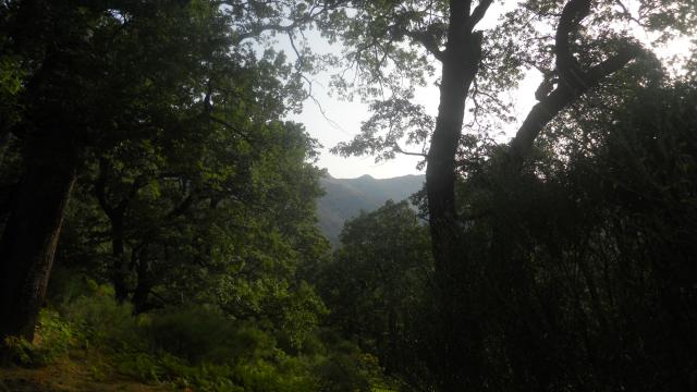 Naturaleza en Piedralaves. Cuidalá.