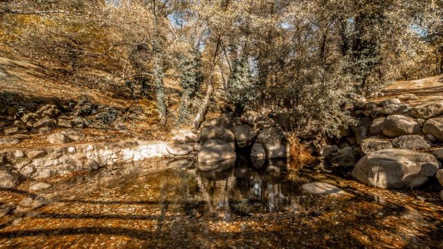 Otoño en Piedralaves Otoño en Piedralaves
