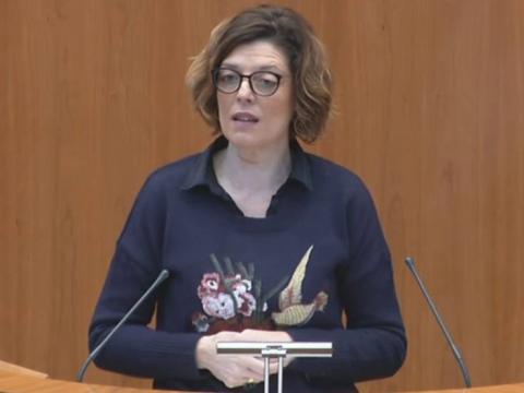 La alcaldesa de Piedralaves dimitirá para ser directora general de la Mujer La alcaldesa de Piedralaves dimitirá para ser directora general de la Mujer