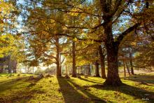 La Angostura La Angostura