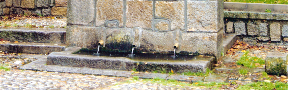 Fuentes de Piedralaves