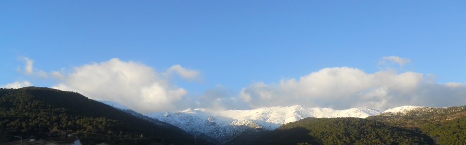 Monte Público de Piedralaves